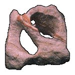 SANDSTON.GIF