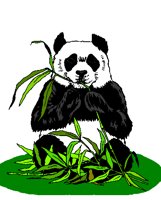 PANDA1.GIF