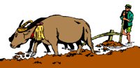 FARMING1.GIF