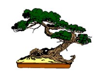 BONZAI1.GIF