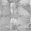 ART06BK.JPG