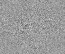 FNT02BK.GIF