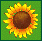 GRD01BT1.GIF