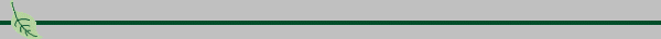 NAT06BAR.GIF