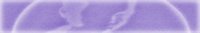 SF08BAN.JPG