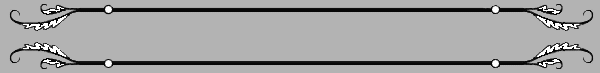 VIC06BAN.GIF
