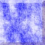SQBUT054.JPG