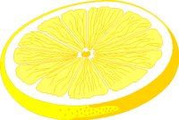 LEMSLICE.WMF