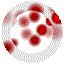 RDBUT084.GIF