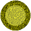 RDBUT088.GIF