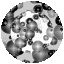 RDBUT103.GIF