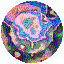 RDBUT115.GIF