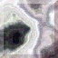 SQBUT116.JPG