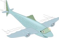 FLYFISHC.CMX