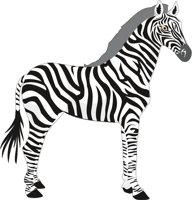 ZEBRA1.CMX