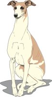WHIPPET.CMX