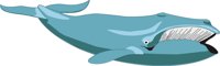 WHALE3.CMX