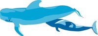WHALE2.CMX