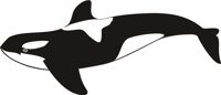 WHALE1.CMX