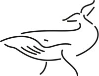 WHALE.CMX