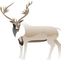 WCARIBOU.CMX
