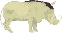 WARTHOG.CMX