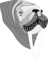 WALRUS.CMX