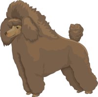 TOYPOODL.CMX
