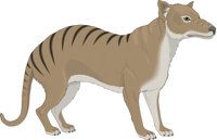 TASWOLF.CMX