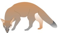 SWFTFOX.CMX