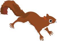 SQUIRREL.CMX