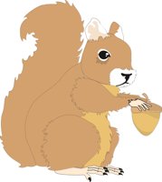 SQUIREL2.CMX