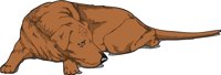 SLEEPDOG.CMX