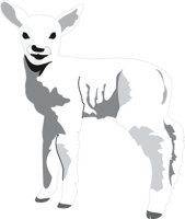 SHEEP.CMX