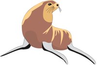 SEALION.CMX