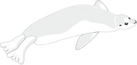 SEALBABY.CMX
