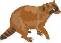 RCOON2.CMX