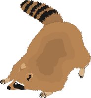 RCOON.CMX
