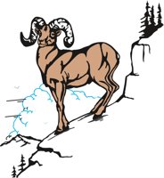 RAM.CMX