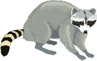 RACCOON.CMX