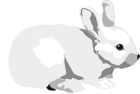 RABBIT4.CMX
