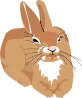 RABBIT2.CMX