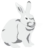 RABBIT1.CMX