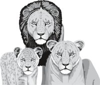 PRIDE3.CMX