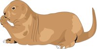 PRDOG.CMX