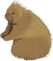 PORCUPIN.CMX