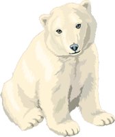 POLARCUB.CMX