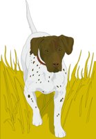 POINTER.CMX
