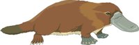 PLATYPUS.CMX