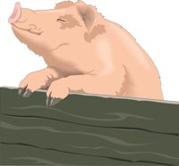 PIG_2.CMX